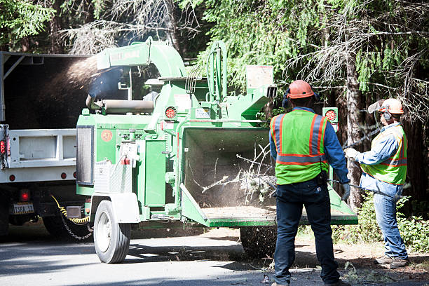 Best Utility Line Clearance  in Miles, TX